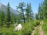 Дорога рядом с озером