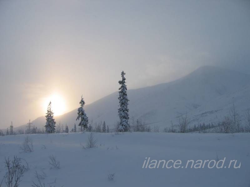 Зимний пейзаж. Фото: Егоровой Марины