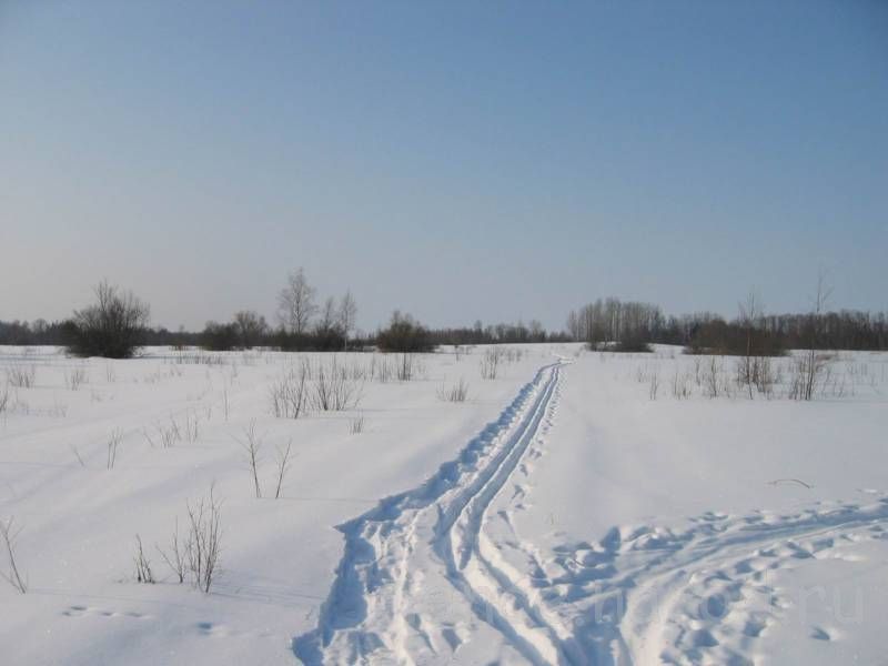 Лыжня в начале пути. Фото: Егоровой Марины