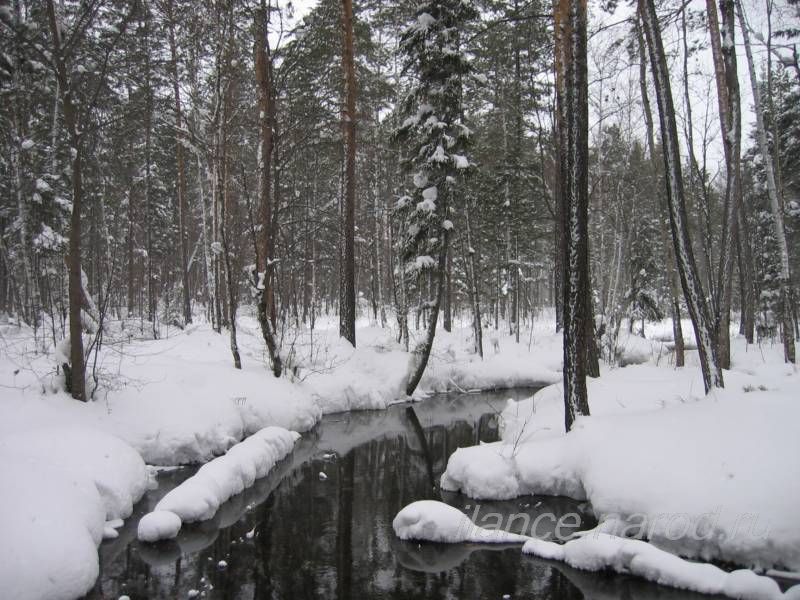 Родник в Улькане. Фото: Егоровой Марины